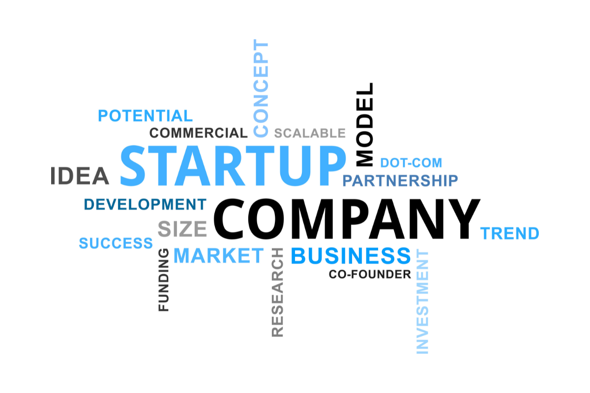 The state has poured millions into young companies and is looking for more. Which ones did they choose?