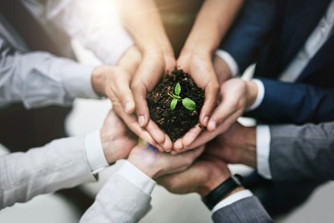 Social Economy: Questions and Answers