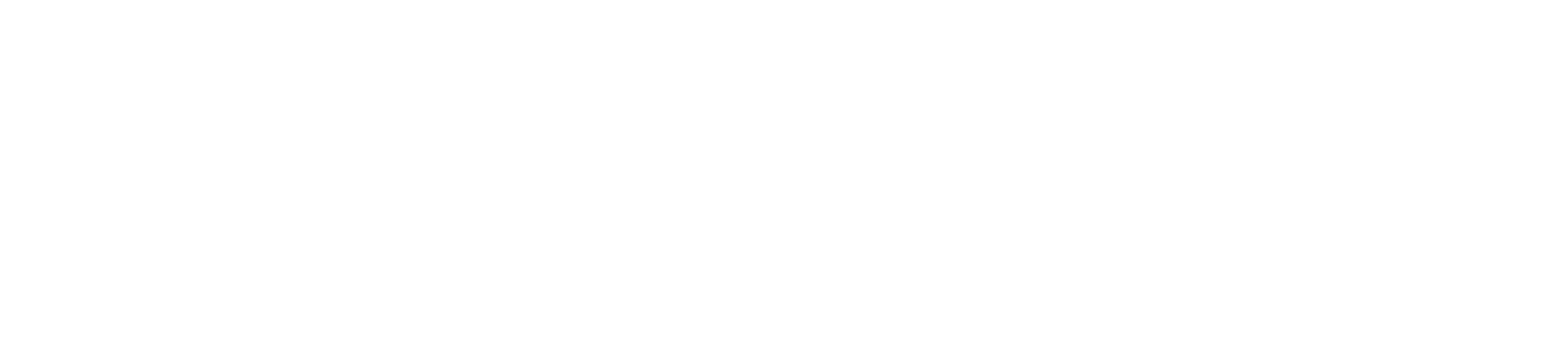 Program Slovensko